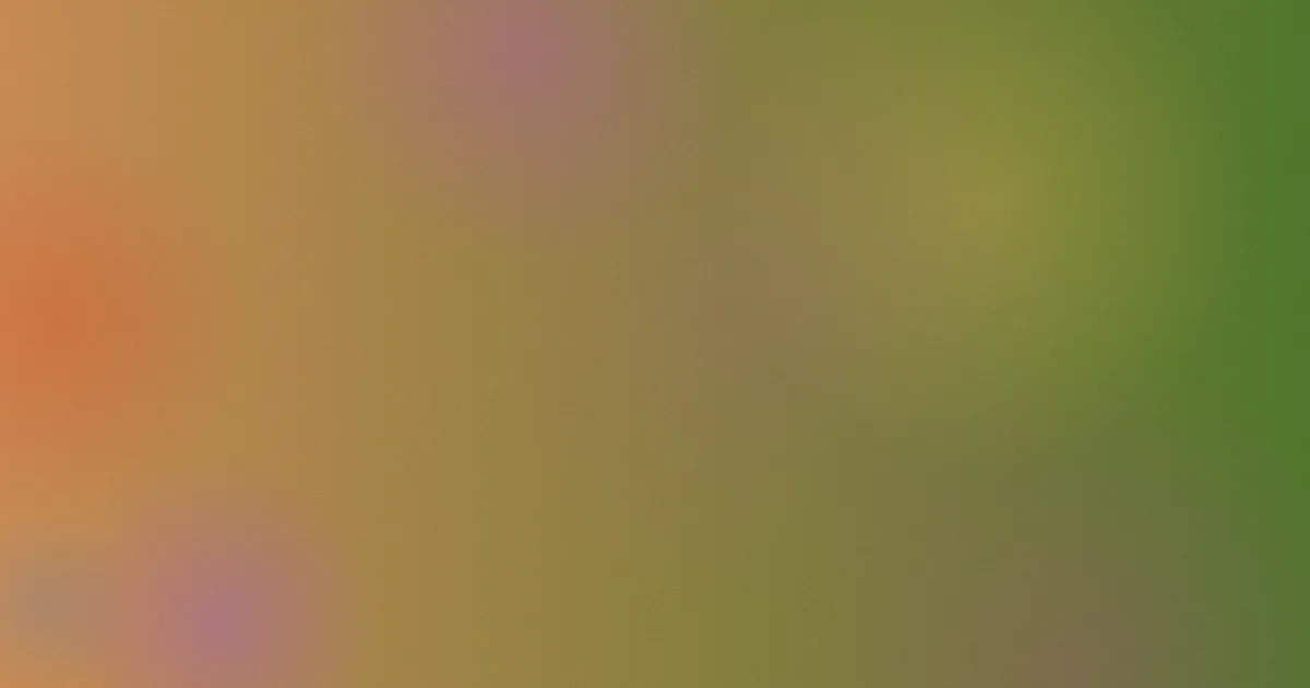 韩剧在线免费观看对比实录
